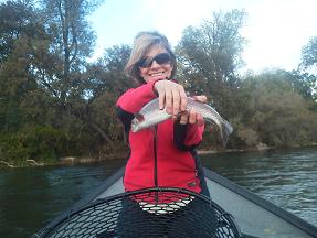 Flyfishing Sacramento River Northern California Picture 7