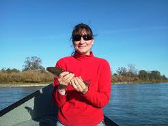 Guided flyfishing trip Sacramento River Trout