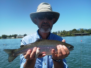 rainbow trout fishing sac river