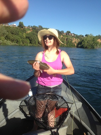 rainbow trout