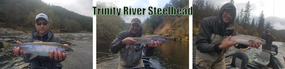 trinity-river-steelhead